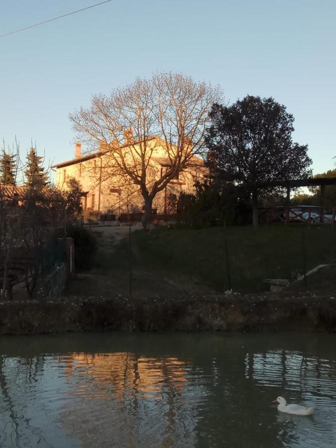 Agriturismo La Provenca К'янчіано-Терме Екстер'єр фото