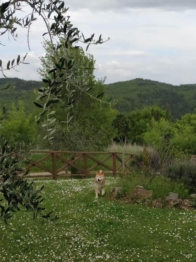 Agriturismo La Provenca К'янчіано-Терме Екстер'єр фото