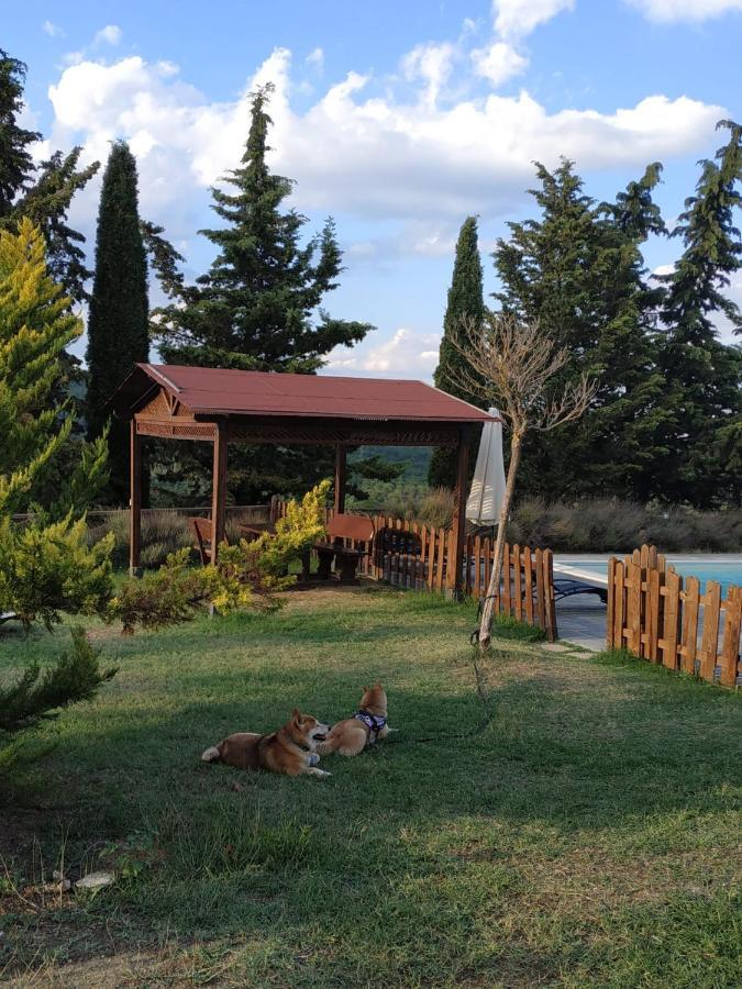 Agriturismo La Provenca К'янчіано-Терме Екстер'єр фото