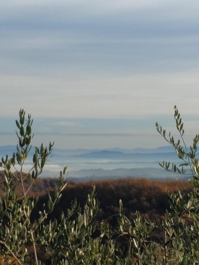 Agriturismo La Provenca К'янчіано-Терме Екстер'єр фото